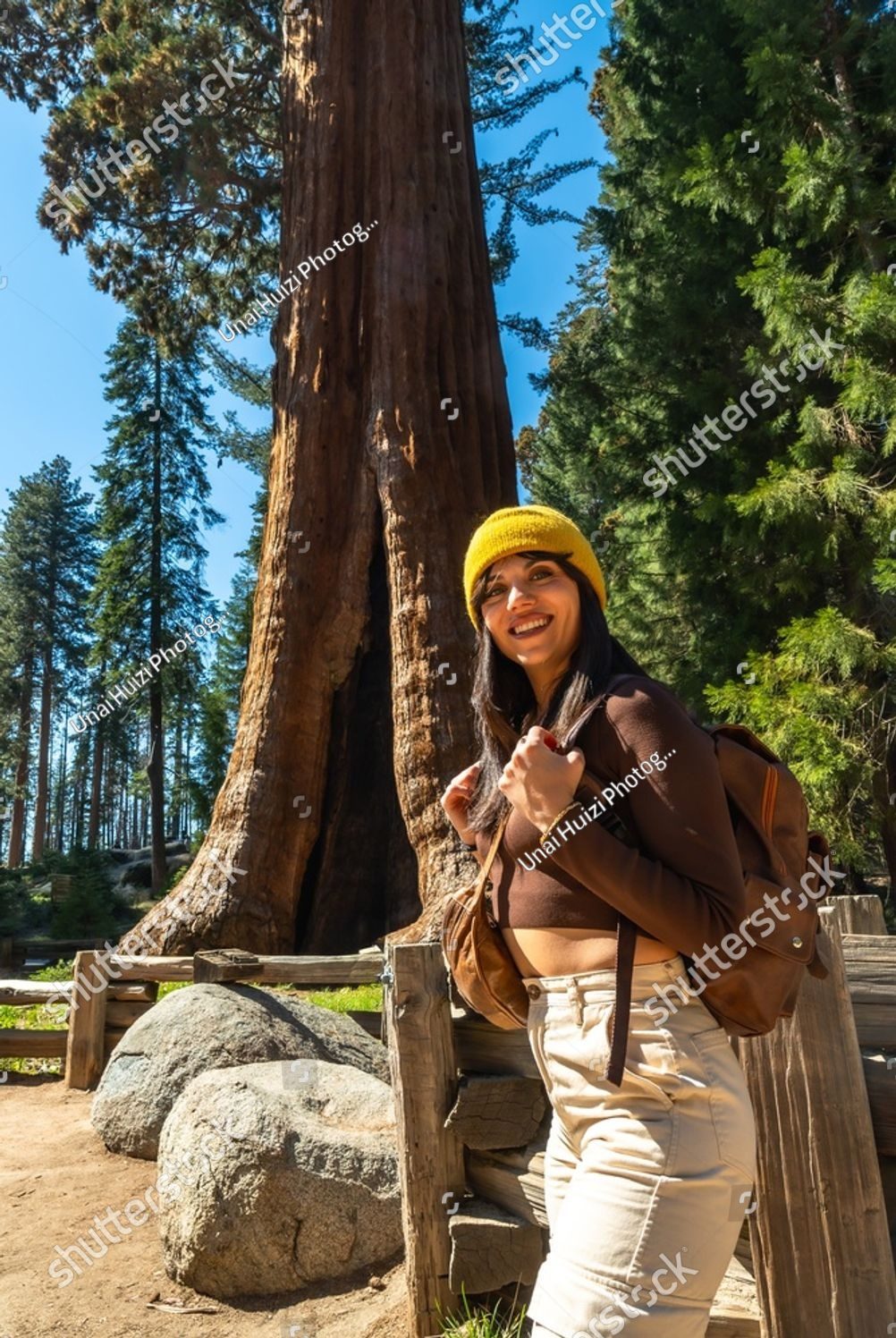 A smiling woman resting beside a giant sequoia
