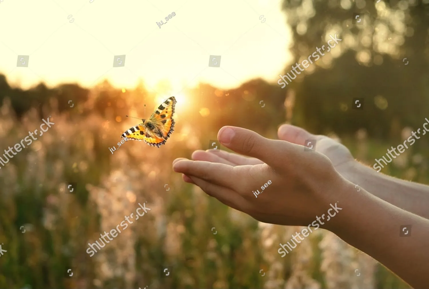 Open hands reaching toward a butterfly at sunset